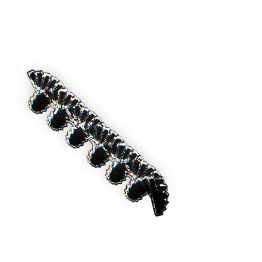 DNA Helix